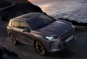 CUPRA TERRAMAR 1.5 eTSI 150CV DSG BEYOND